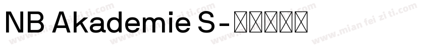 NB Akademie S字体转换